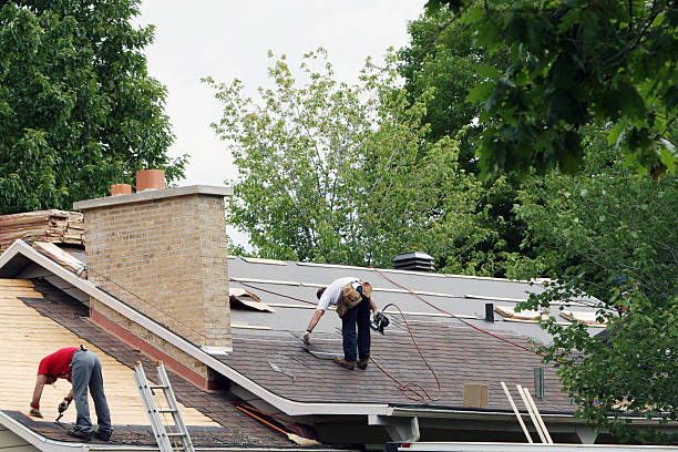 Best Tile Roofing Contractor  in Kilauea, HI