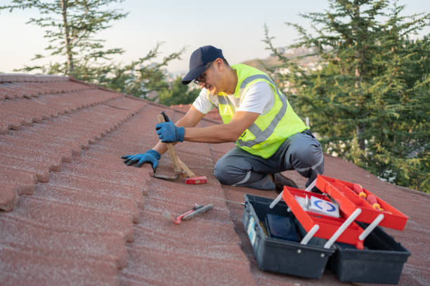 Best Flat Roof Repair Services  in Kilauea, HI